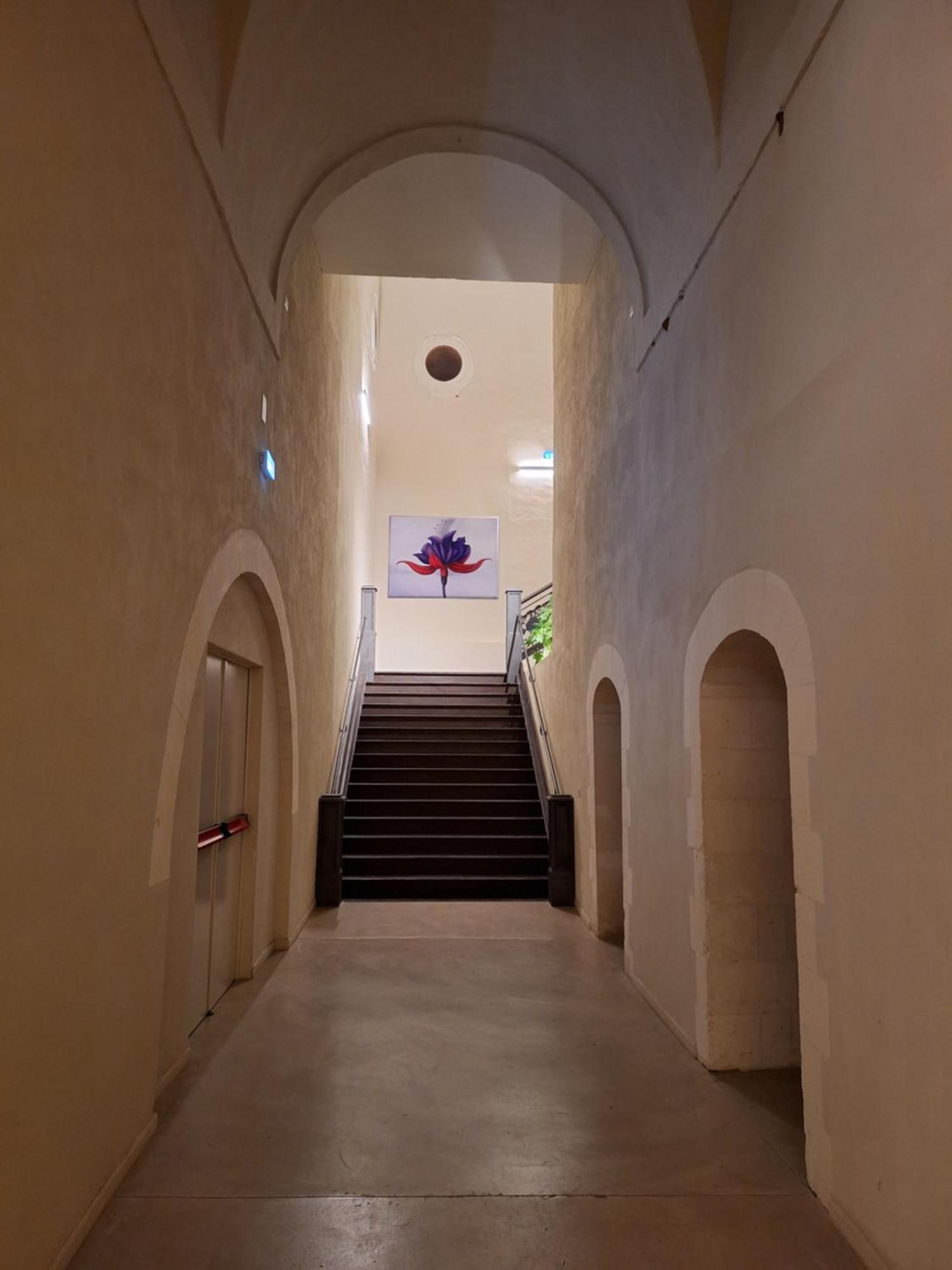Chiostro Dei Domenicani - Dimora Storica Lecce Dış mekan fotoğraf